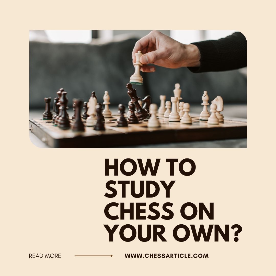 how to study chess on your own book review